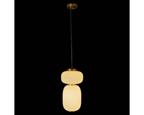 Подвесной светильник Loft it Duff 10422/B