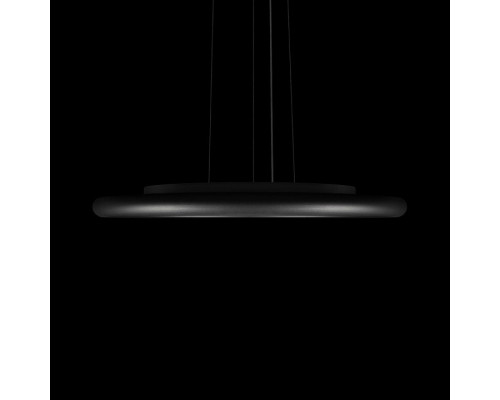 Подвесной светильник Loft it Sweety 10454/500P Black