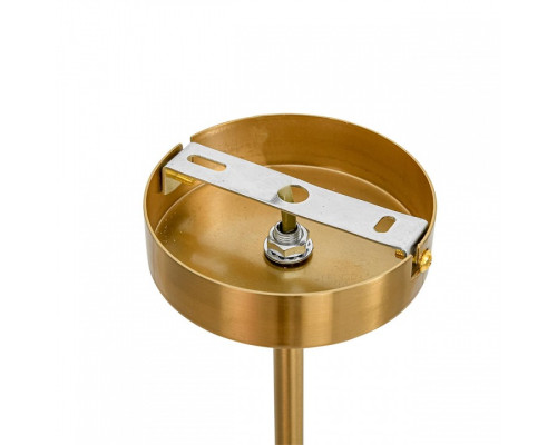 Люстра на штанге Lumion DENVER 8276/6