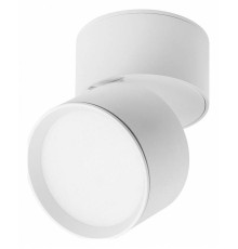 Накладной светильник Lightstar Acuto 215836