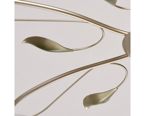 Потолочная люстра MW-Light Верона 10 334013006