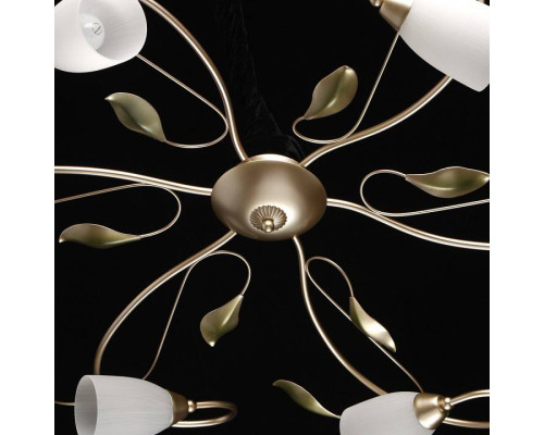 Потолочная люстра MW-Light Верона 10 334013006