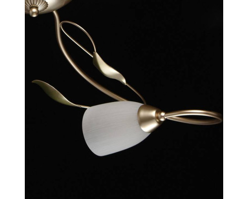 Потолочная люстра MW-Light Верона 10 334013006