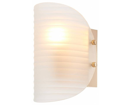 Накладной светильник Rivoli Mariana Б0066487