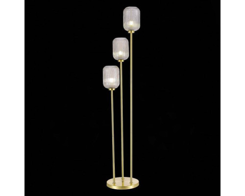 Торшер ST-Luce Gran SL1154.325.03