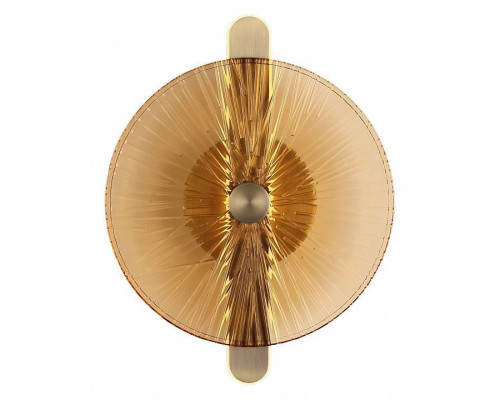 Накладной светильник ST-Luce WASI SL6141.311.01