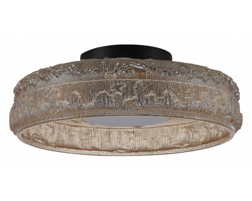 Накладной светильник ST-Luce ANTIKE SL6143.422.01