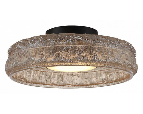 Накладной светильник ST-Luce ANTIKE SL6143.422.01