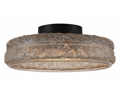 Накладной светильник ST-Luce ANTIKE SL6143.422.01