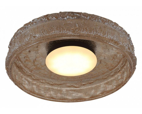 Накладной светильник ST-Luce ANTIKE SL6143.422.01