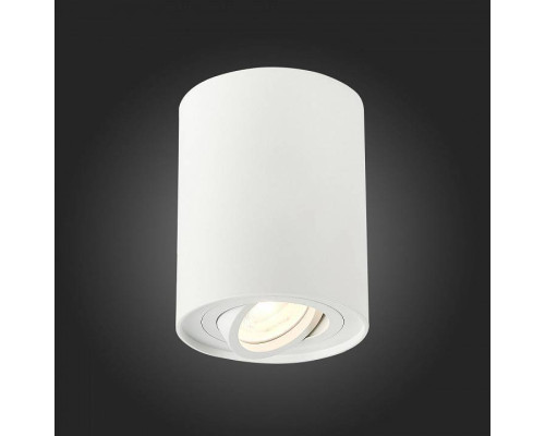 Спот ST-Luce Torus ST108.517.01