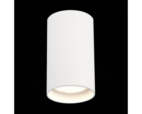 Накладной светильник ST-Luce ST157 ST157.542.20