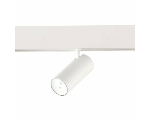 Светильник на штанге ST-Luce ST375 ST375.506.07