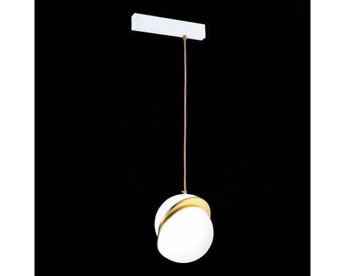 Подвесной светильник ST-Luce SKYLINE 220 ST501.313.01