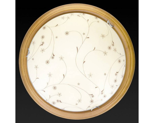 Накладной светильник TopLight Karissa TL9650Y-00OA