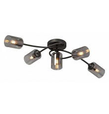 Потолочная люстра Vitaluce V2048 V2048-1/5PL