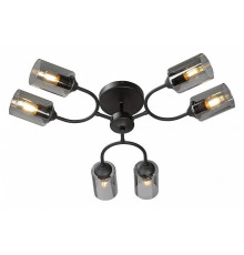 Потолочная люстра Vitaluce V2823 V2823-1/6PL