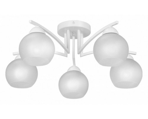 Потолочная люстра Vitaluce V4285 V4285-0/5PL