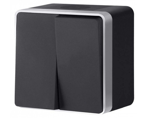 Выключатель двухклавишный влагозащищенный Werkel Gallant (черный с серебром) W5020234