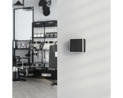 Выключатель двухклавишный влагозащищенный Werkel Gallant (черный с серебром) W5020234