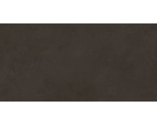 Evolution marron Керамическая плитка 48036R 40x80 матовый обрезной