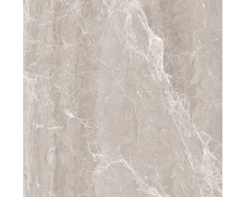 Nostalgic Silver Керамогранит 60х60 Полированный