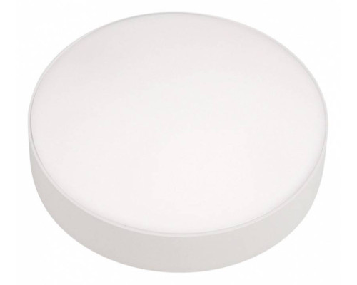 Накладной светильник iLedex Technical Mercury 5551-24W-D160-3/4/6K-WH