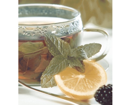 Dec Tea Panno (панно из 2-х шт) КПН16Tea 50х45