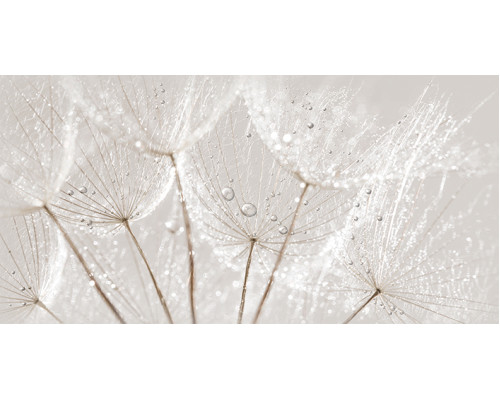 Avangarde вставка серый (AV2L091DT) 29,8x59,8