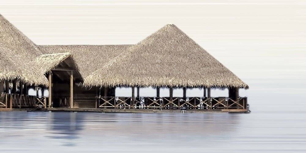 Декор ALMA CERAMICA Del Mare 249х500х7.5 мм DWU09DLM024