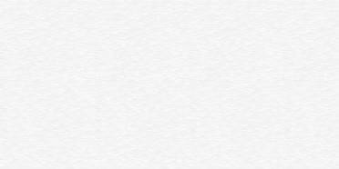 Плитка настенная Lasselsberger Ceramics Luster Blanco 500х250х9 мм WT9LST00