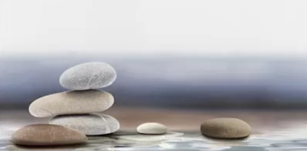 Декор Шахтинская плитка Плессо рельефный 50х24.9 см DWU09PLS604