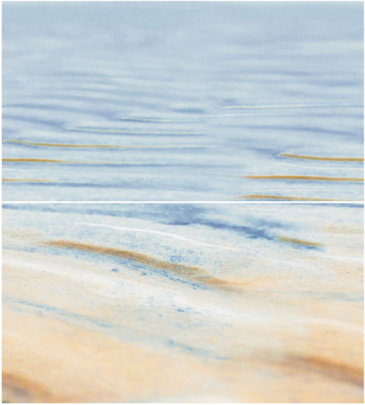 Панно Ceradim Starfish 2 из 2-х шт 50х45 см КПН16Starfish2