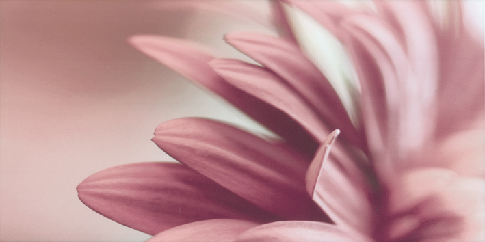 Декор Paradyz Sorenta Bianco Durst Kwiaty A 30х60 см х9999012091