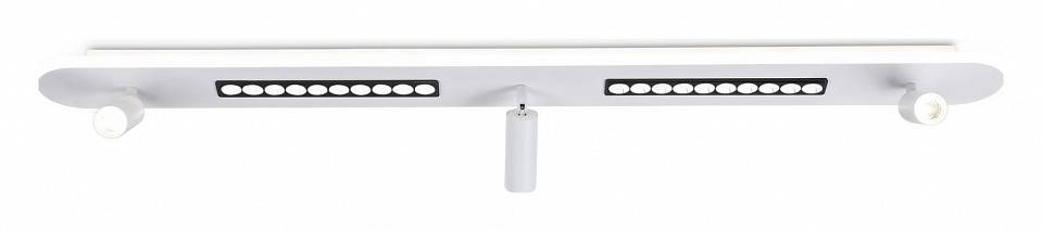 Спот Ambrella light FL FL51451