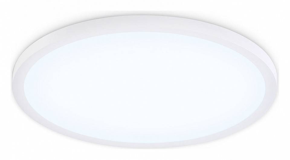 Накладной светильник Ambrella Light FZ FZ1959