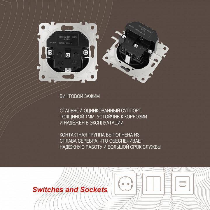 Розетка с заземлением и со шторкой и 2хUSB, без рамки Arte Milano am-206 206.47-1.black