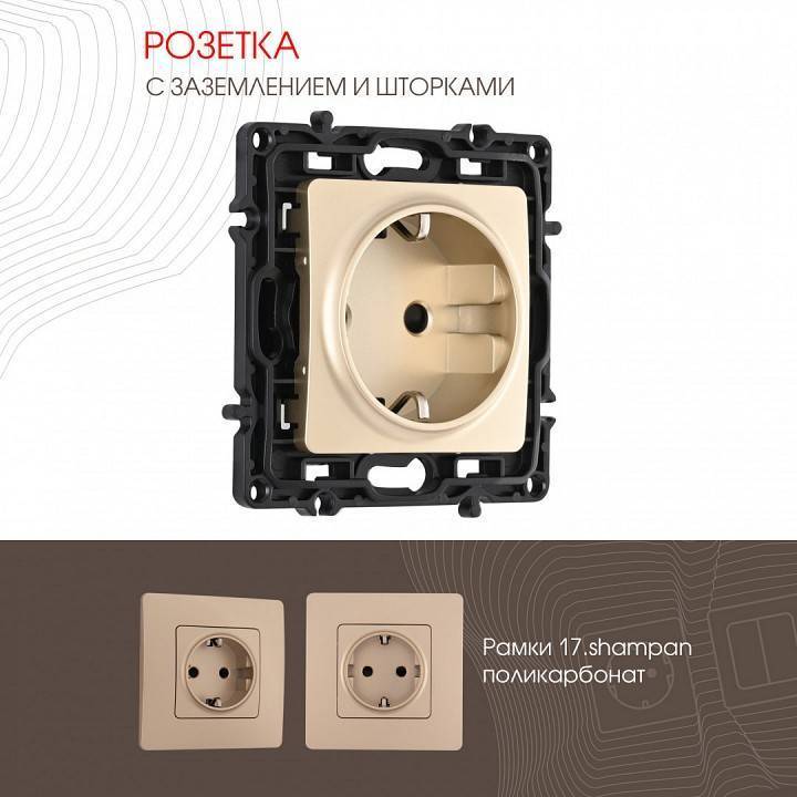 Розетка с заземлением и со шторкой, без рамки Arte Milano am-217 217.40-1.shampan