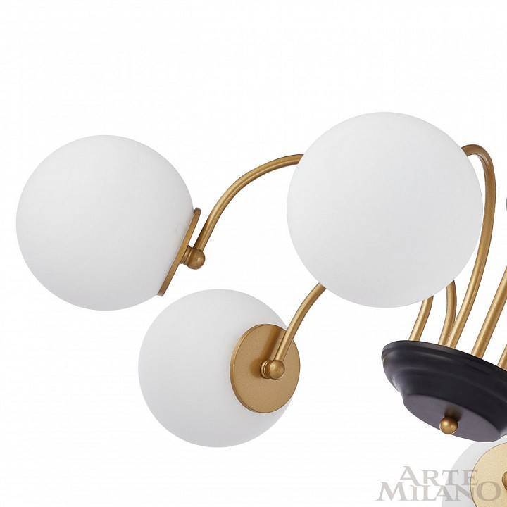 Люстра на штанге Arte Milano AM-Napoli 312066/D850/6 BS/BK