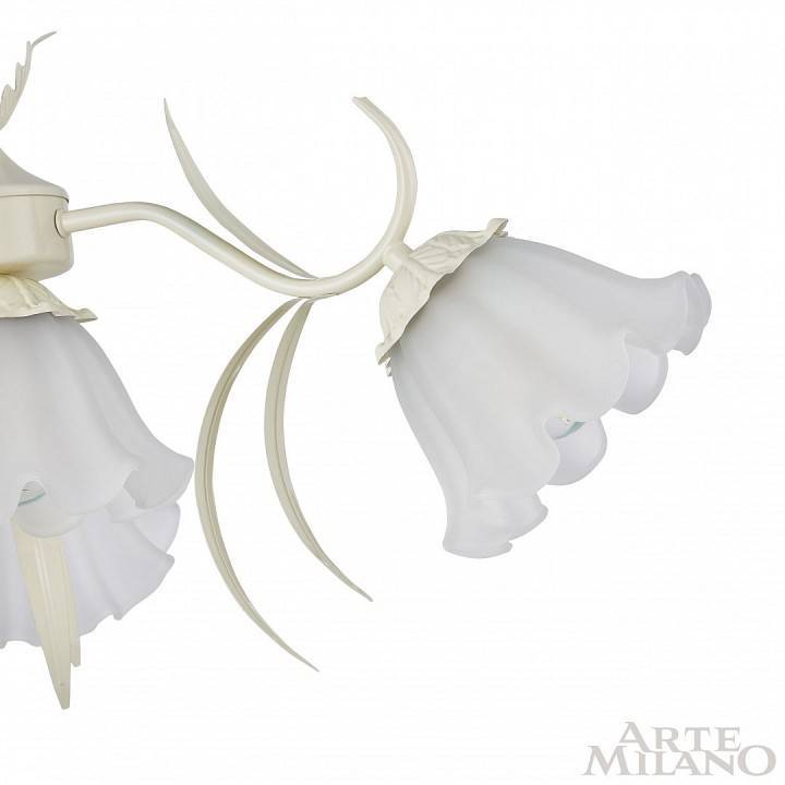 Подвесная люстра Arte Milano AM-Napoli 7xE14 D680 мм 316066/D680/7 IV