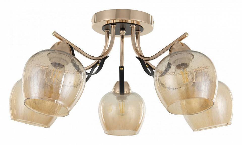 Потолочная люстра Arte Milano AMALFI-322306 322306/5 FG+BK