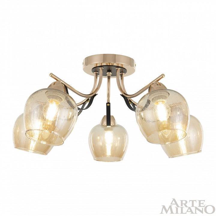 Потолочная люстра Arte Milano AMALFI-322306 322306/5 FG+BK