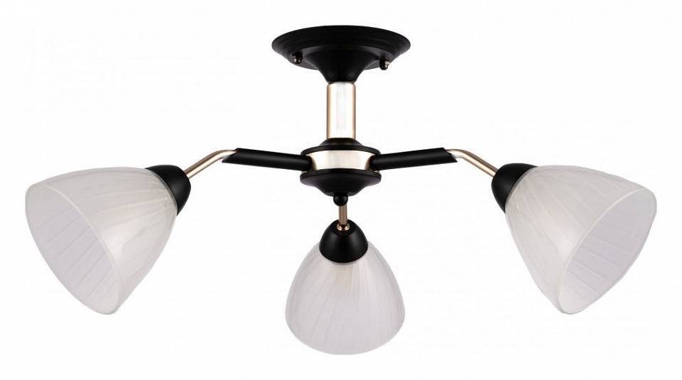 Люстра на штанге Arte Milano Napoli 3 лампы 324108/3 BK+FG