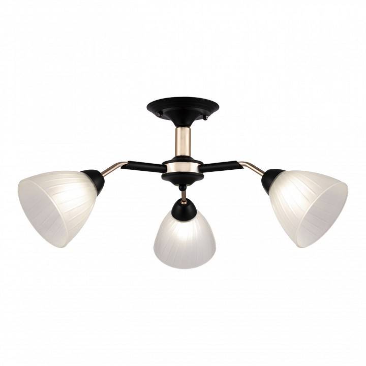 Люстра на штанге Arte Milano Napoli 3 лампы 324108/3 BK+FG