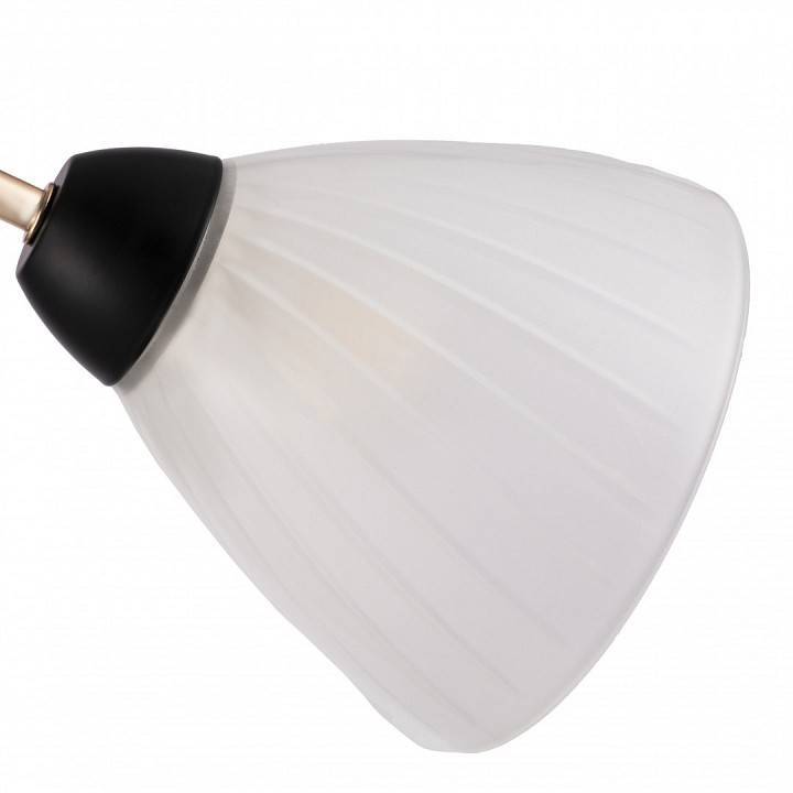 Люстра на штанге Arte Milano Napoli 3 лампы 324108/3 BK+FG