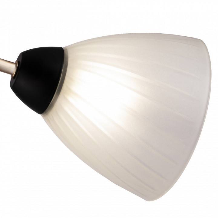 Люстра на штанге Arte Milano Napoli 3 лампы 324108/3 BK+FG