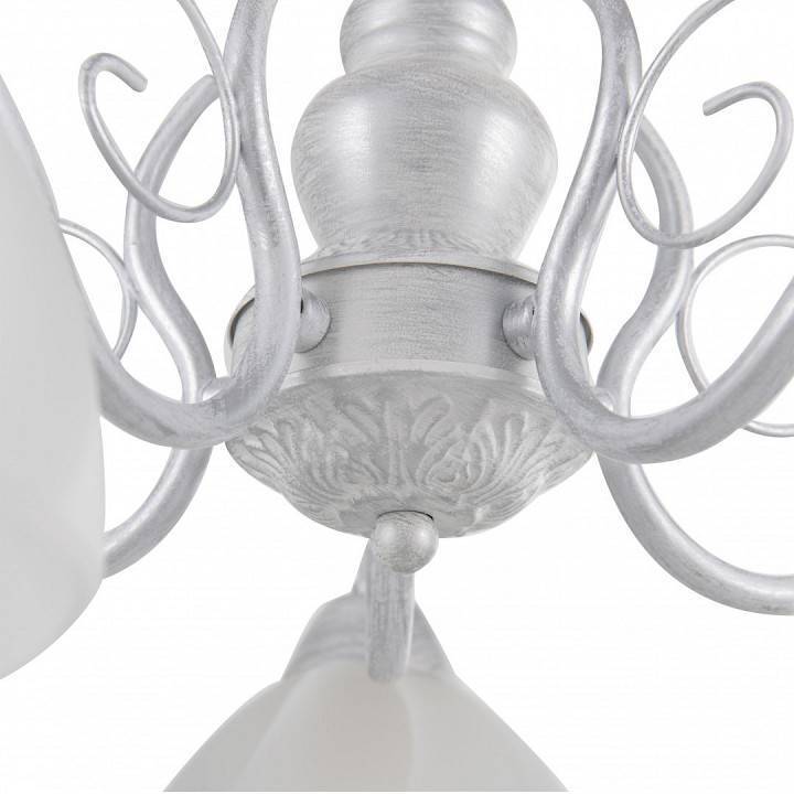 Подвесная люстра Arte Milano Amalfi-0644 5xE14 330644/5 WT+SL