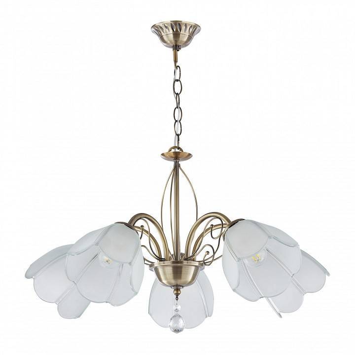 Подвесная люстра Arte Milano Amalfi-2656 5xE14 332656/5 AB