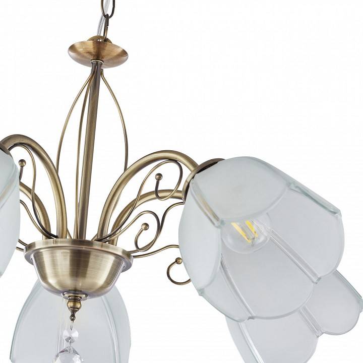 Подвесная люстра Arte Milano Amalfi-2656 5xE14 332656/5 AB