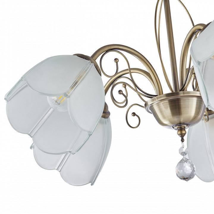 Подвесная люстра Arte Milano Amalfi-2656 5xE14 332656/5 AB
